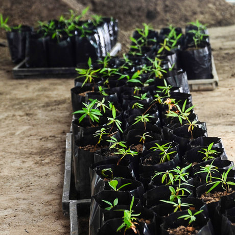 فقدان زیرساخت‌های بازرگانی، مهم‌ترین گرفتاری بخش کشاورزی